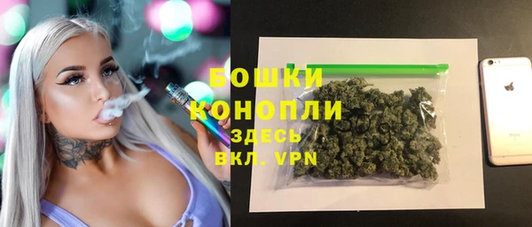 винт Аркадак