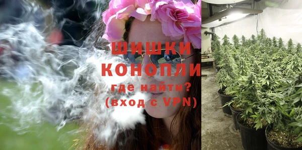 PSILOCYBIN Костерёво