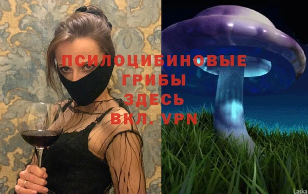 герыч Арсеньев
