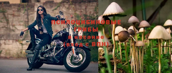 эйфоретик Беломорск