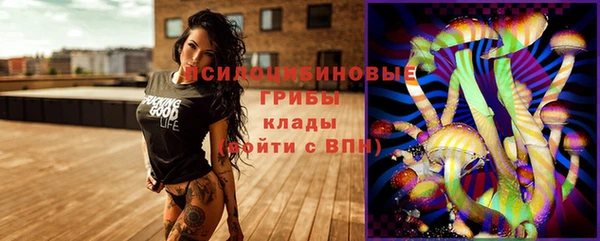винт Аркадак