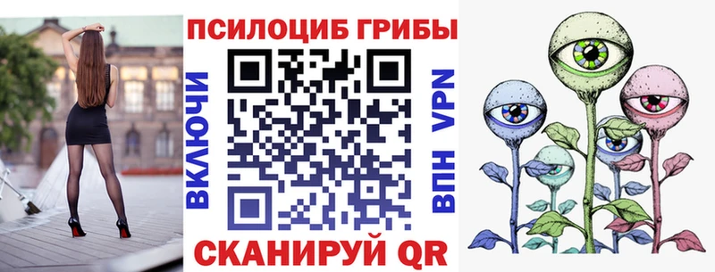 Псилоцибиновые грибы Psilocybe  Рыбинск 