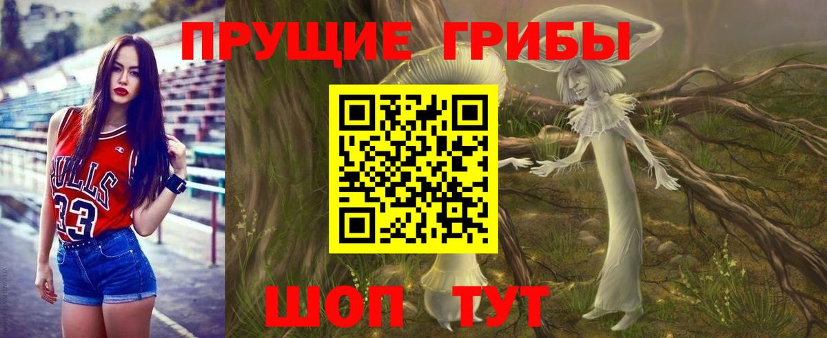 Псилоцибиновые грибы мицелий Рыбинск